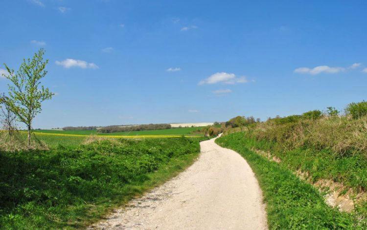 The Run, West Lavant Chichester Luaran gambar
